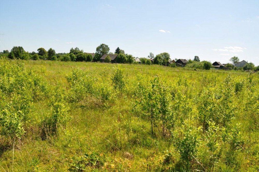 Buy a plot of land for a garden/garden Battle Ground - photo 1