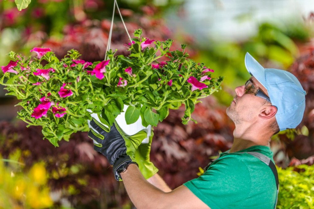 Looking for a job as a gardener Ocala - photo 1