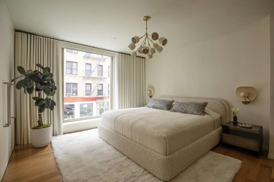 Cozy Room in Bright Apartment New York City
