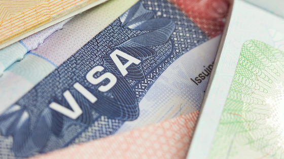 Visa Application Assistance Лос-Альтос